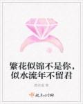 繁花似锦与君留的下一句是
