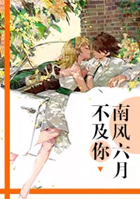 小说南风六月不及你