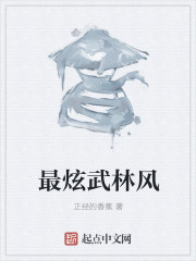 武林风歌词